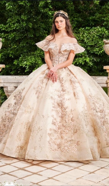 Quinceañera 14